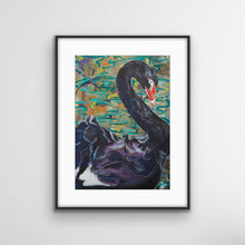 Load image into Gallery viewer, Black Swan, Australian Bird Collection