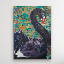 Load image into Gallery viewer, Black Swan, Australian Bird Collection