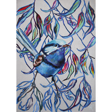 Load image into Gallery viewer, Blue Wren, Australian Bird Collection
