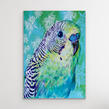 Load image into Gallery viewer, Budgie, Australian Bird Collection