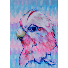 Load image into Gallery viewer, Galah, Australian Bird Collection