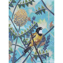 Load image into Gallery viewer, Golden Whistler, Australian Bird Collection
