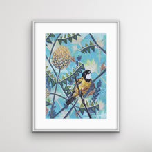 Load image into Gallery viewer, Golden Whistler, Australian Bird Collection