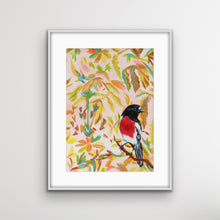 Load image into Gallery viewer, Red Robin, Australian Bird Collection