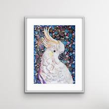 Load image into Gallery viewer, Sulphur Crested Cockatoo, Australian Bird Collection