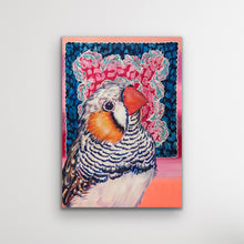 Load image into Gallery viewer, Zebra Finch, Australian Bird Collection