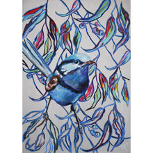 Load image into Gallery viewer, Blue Wren, Australian Bird Collection
