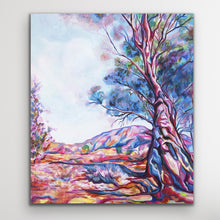 Load image into Gallery viewer, Brachina Gorge
