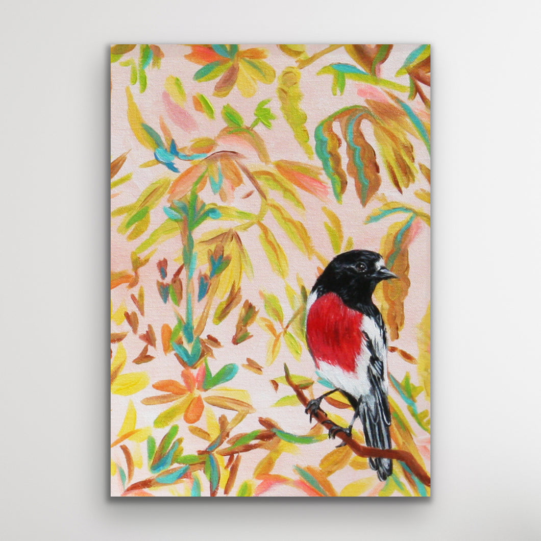 Red Robin, Australian Bird Collection