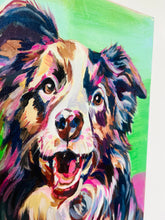 Load image into Gallery viewer, Border Collie
