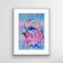 Load image into Gallery viewer, Galah, Australian Bird Collection
