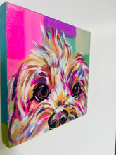 Load image into Gallery viewer, Poodle Cross
