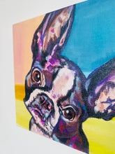 Load image into Gallery viewer, French Bull Dog
