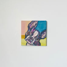 Load image into Gallery viewer, French Bull Dog
