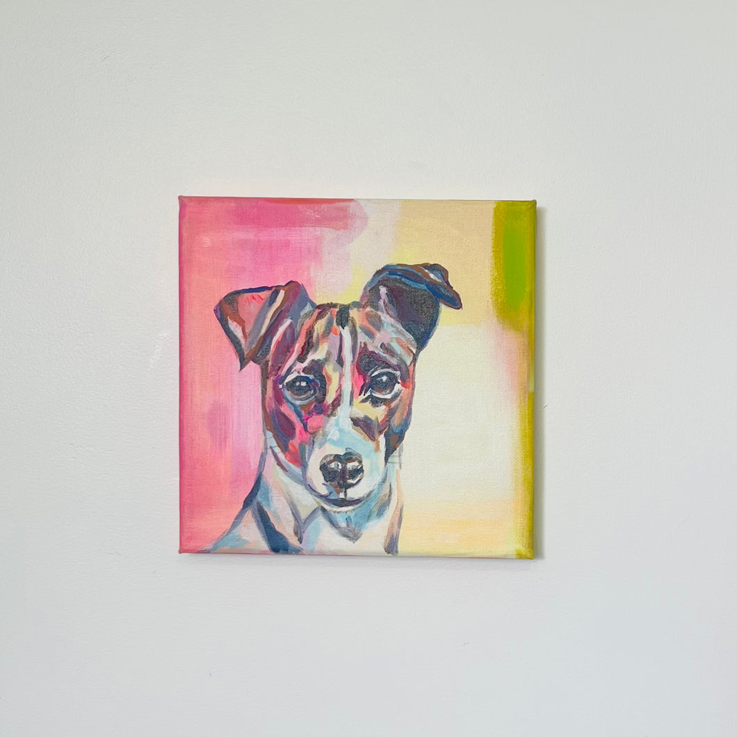 Jack Russell