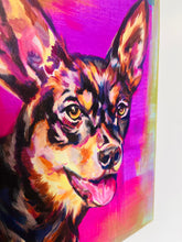 Load image into Gallery viewer, Kelpie
