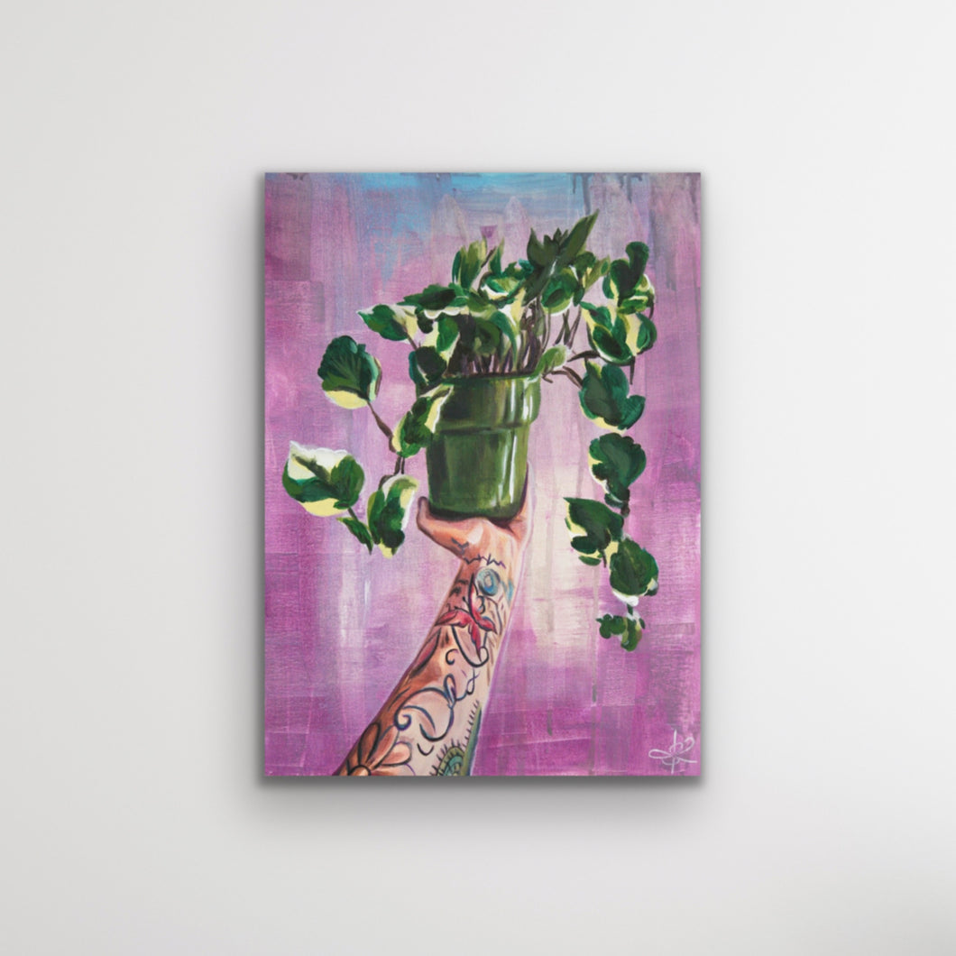 Pothos