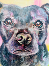 Load image into Gallery viewer, Sadie
