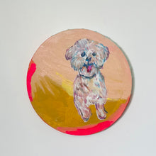 Load image into Gallery viewer, Skittle
